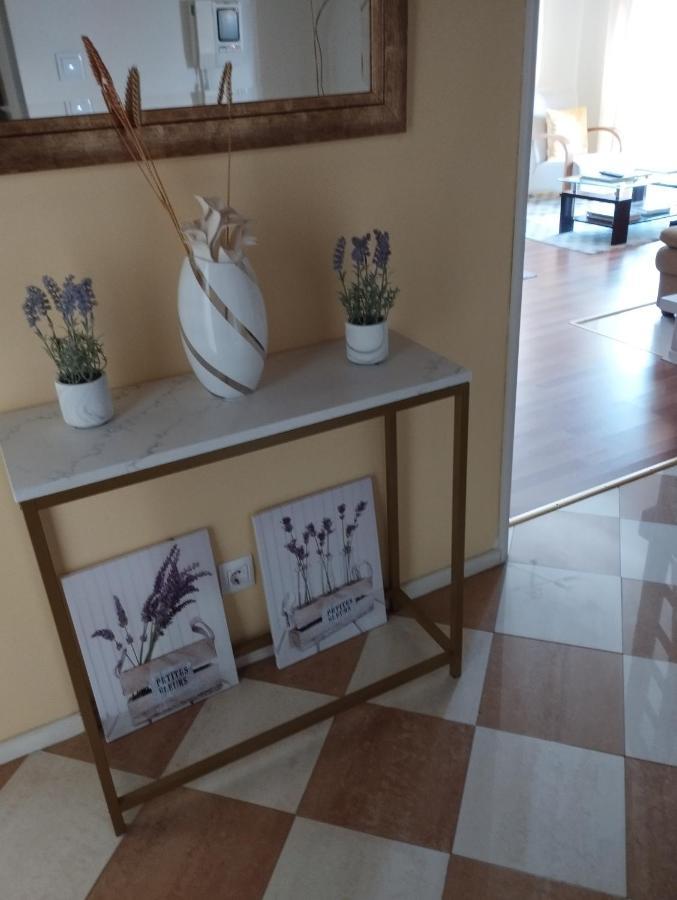 Alameda Residence Tomar Εξωτερικό φωτογραφία
